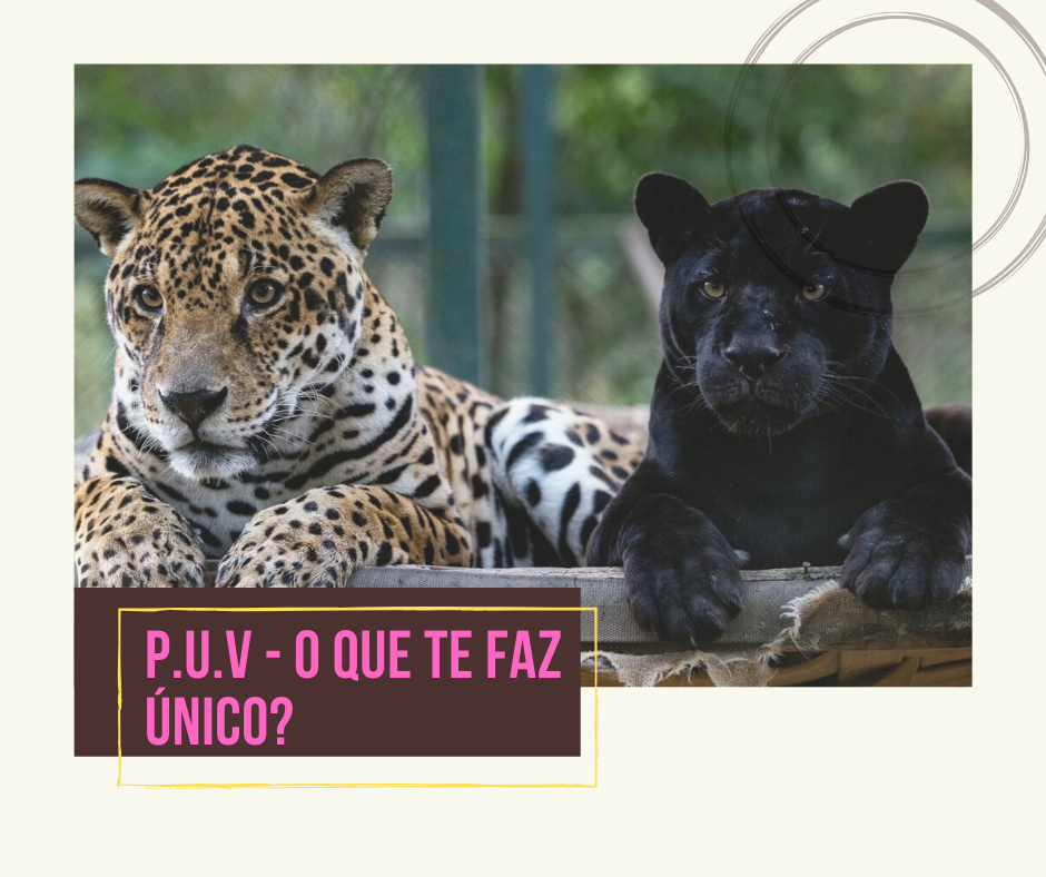 proposta unica de valor