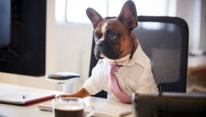 entrevistas de emprego