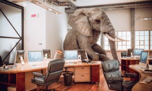 Agência de marketing: o elefante na sala