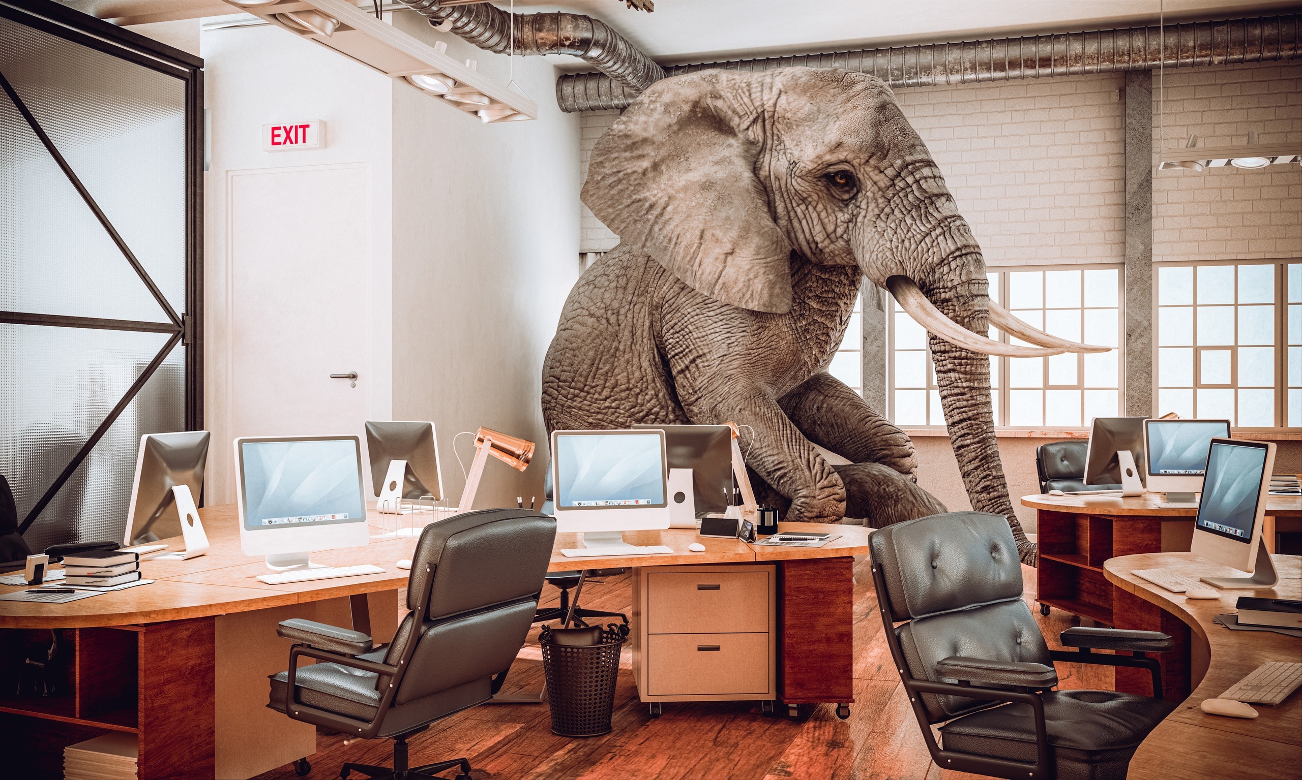 Agência de marketing: o elefante na sala