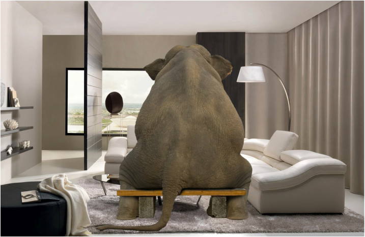 Agências de marketing: o elefante na sala